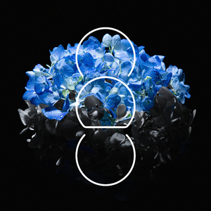 男男少年乖h调教跪趴
