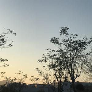 男男少年乖h调教跪趴
